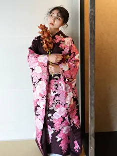 3262 Image system media files 1 12