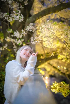 Missy 3656 Profile photo