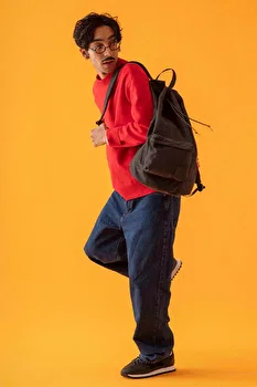 3981 Image system media files 1 3